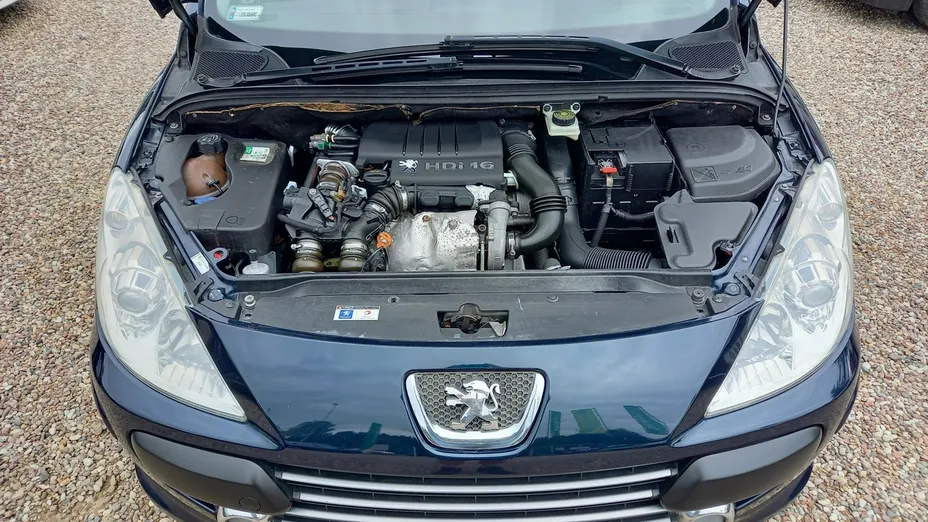 PEUGEOT 307 -