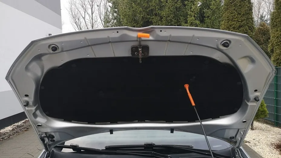 VOLKSWAGEN Polo -