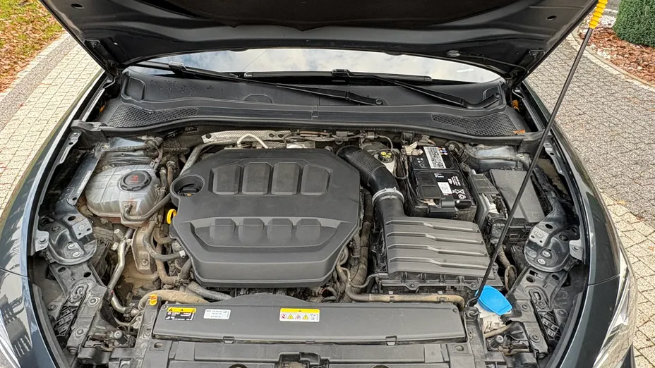 CUPRA Leon Leon 2.0 TSI 4Drive VZ DSG