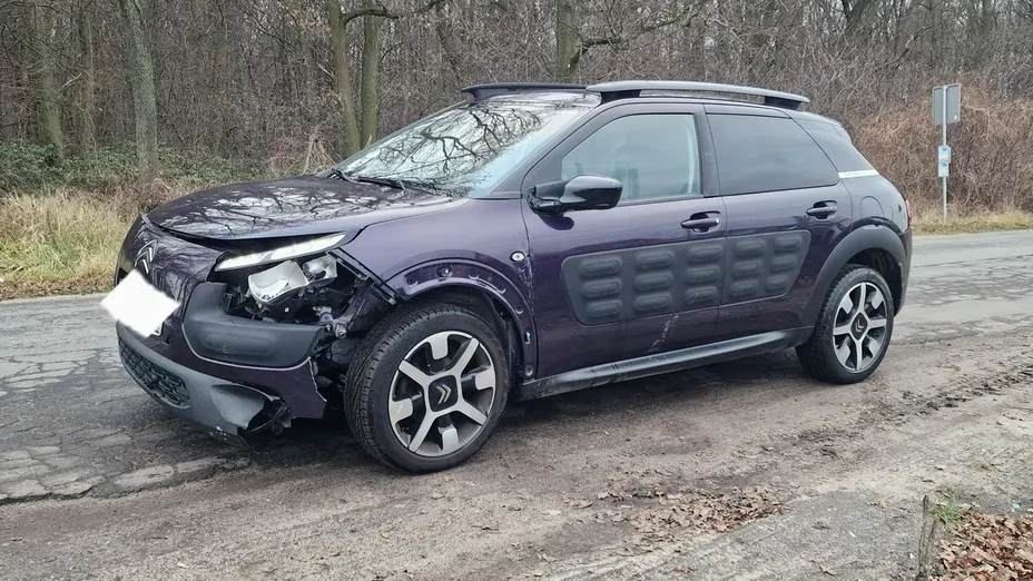 CITROEN C4 Cactus -