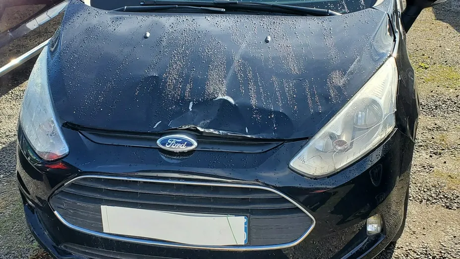 FORD B-MAX -