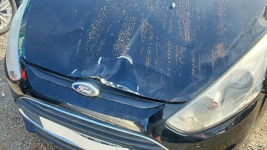 FORD B-MAX -