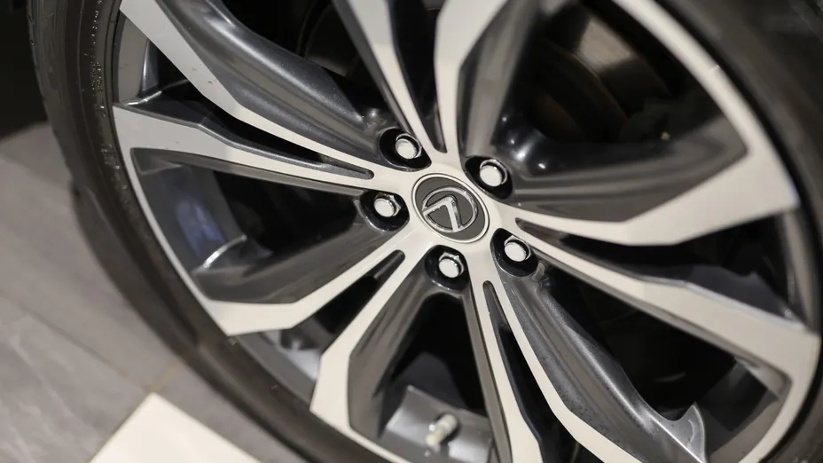 LEXUS RX RX 300 F-Impression