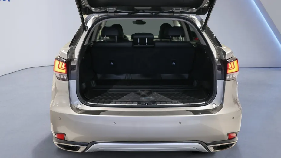 LEXUS RX RX 300 F-Impression