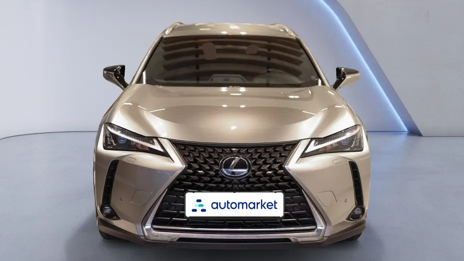 LEXUS UX UX 250h GPF Business 2WD