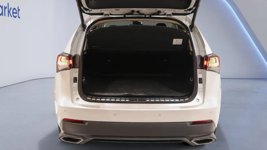 LEXUS NX NX 300 F Impression AWD