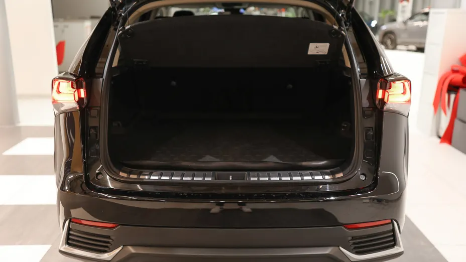 LEXUS NX NX 300h Elegance AWD