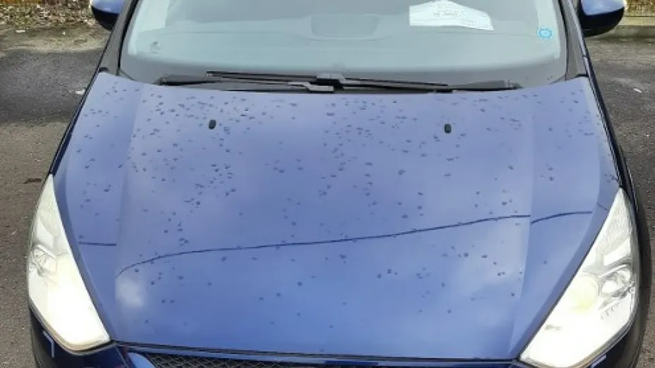 FORD S-MAX -