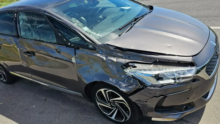 DS 5 -