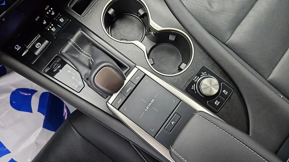 LEXUS RX -
