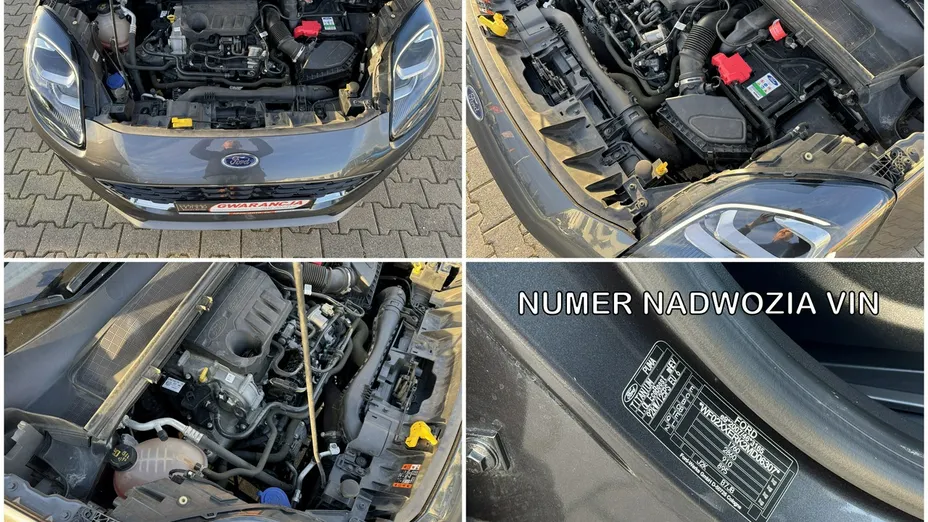 FORD Puma -