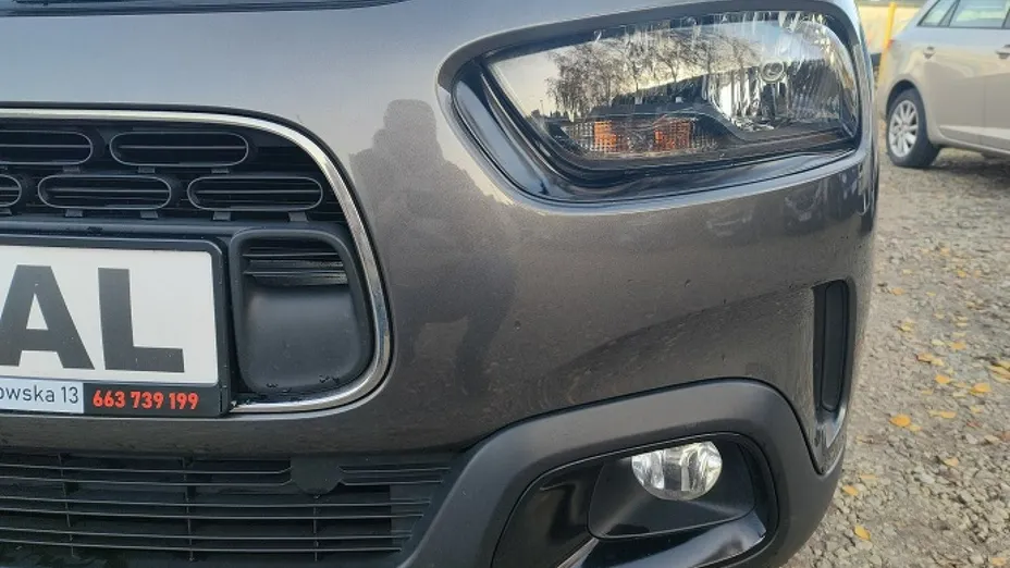 CITROEN C4 Cactus -