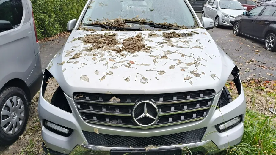 MERCEDES-BENZ ML -