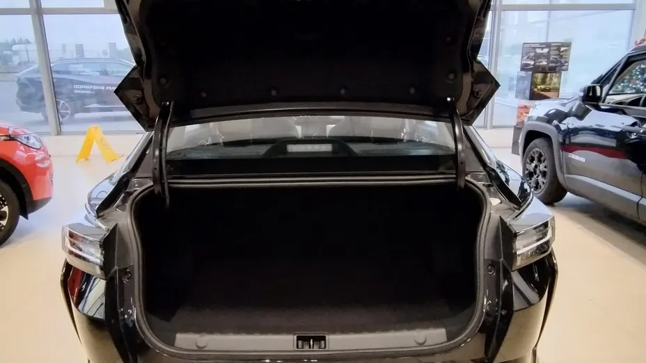 DONGFENG Shine -