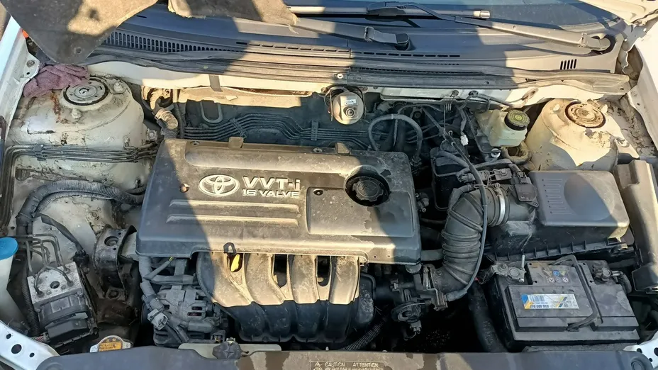 TOYOTA Corolla -