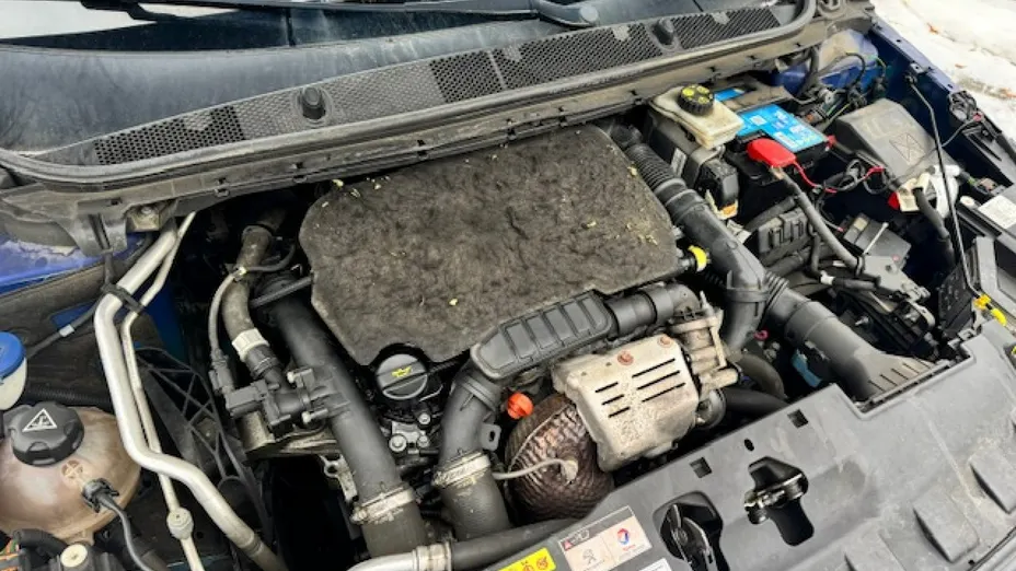 PEUGEOT 308 -