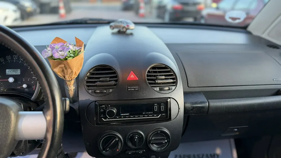 VOLKSWAGEN New Beetle -