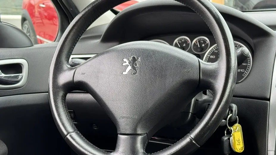 PEUGEOT 307 -