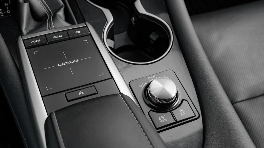 LEXUS RX -