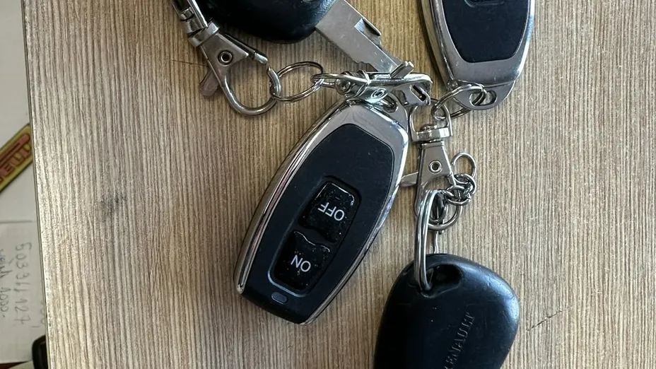 RENAULT Scenic -