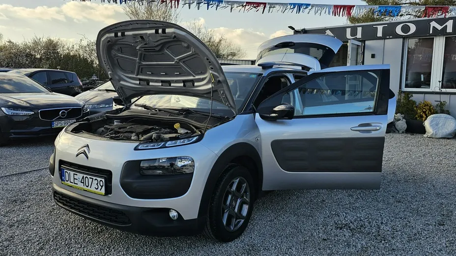 CITROEN C4 Cactus -