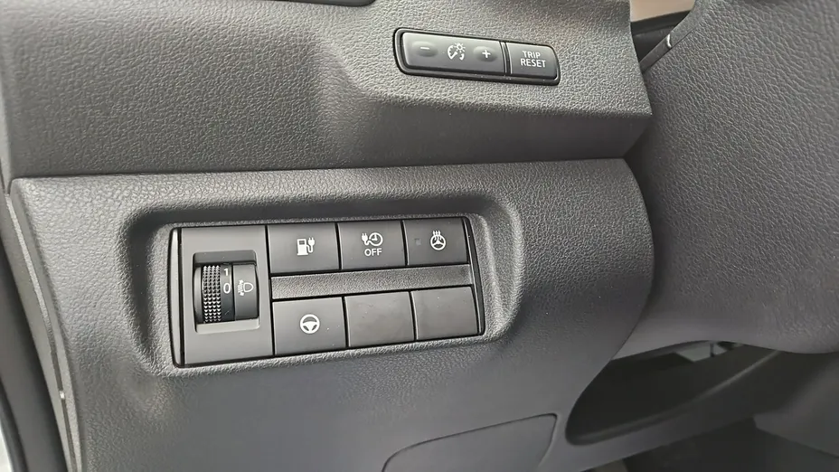 NISSAN Leaf -