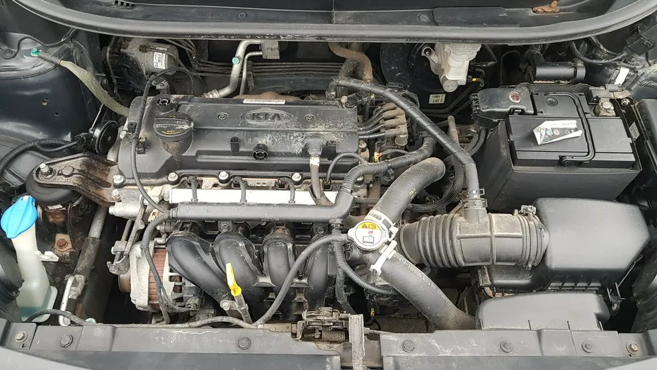 KIA Rio -