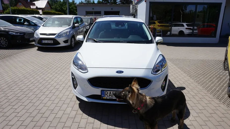 FORD Fiesta -