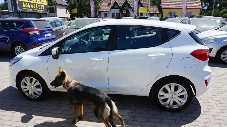 FORD Fiesta -