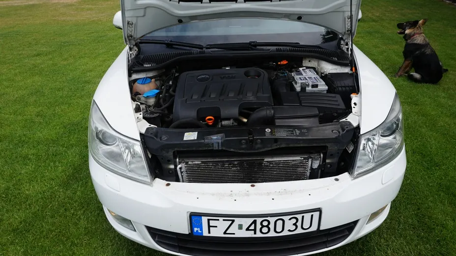 SKODA Octavia -