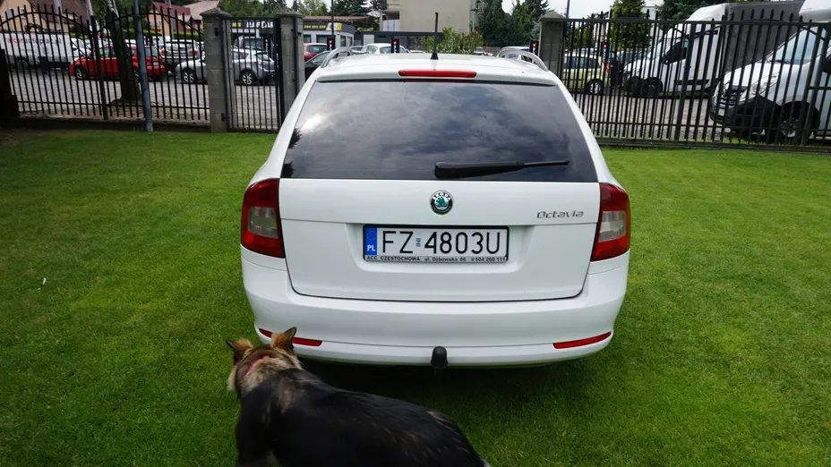 SKODA Octavia -