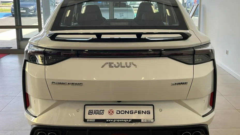 DONGFENG Shine -
