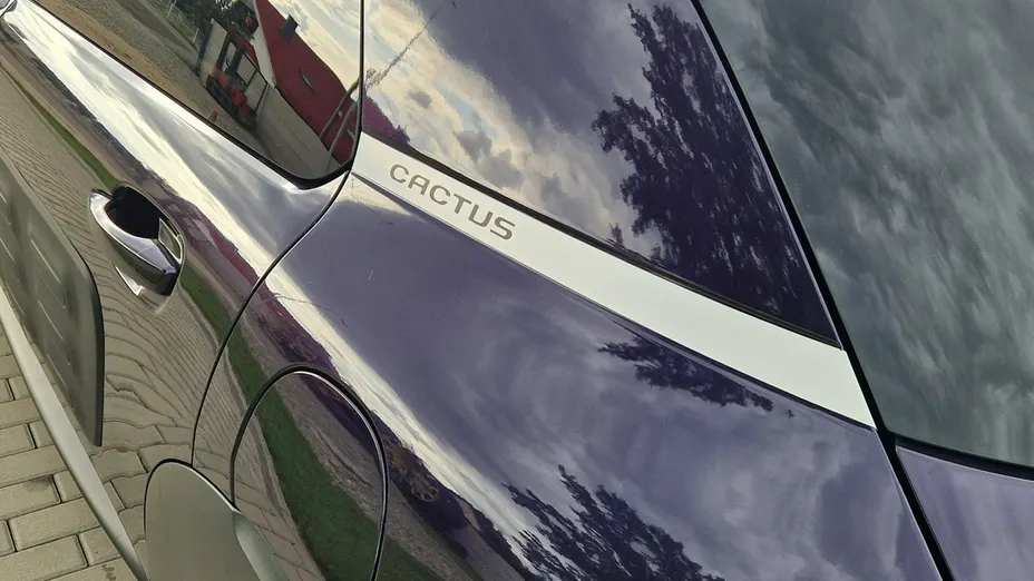 CITROEN C4 Cactus -