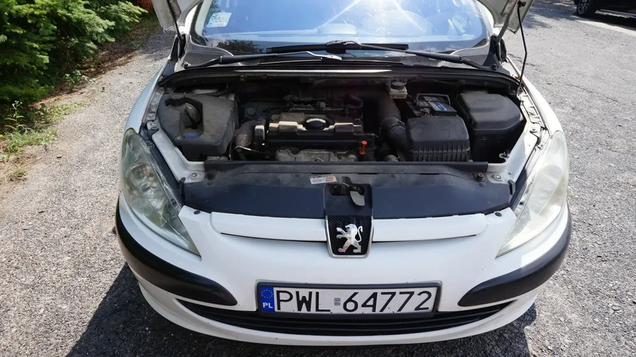 PEUGEOT 307 -