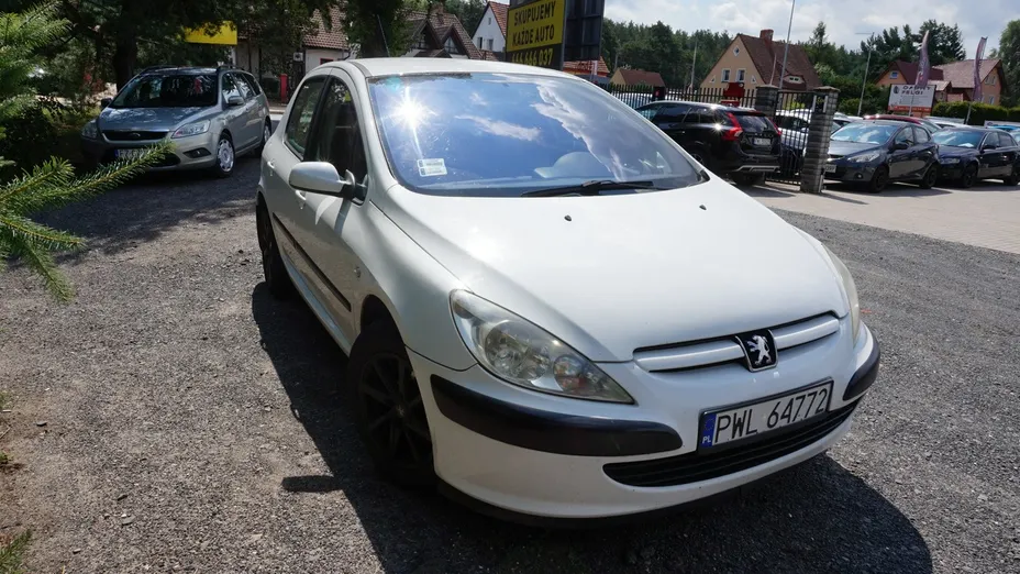 PEUGEOT 307 -