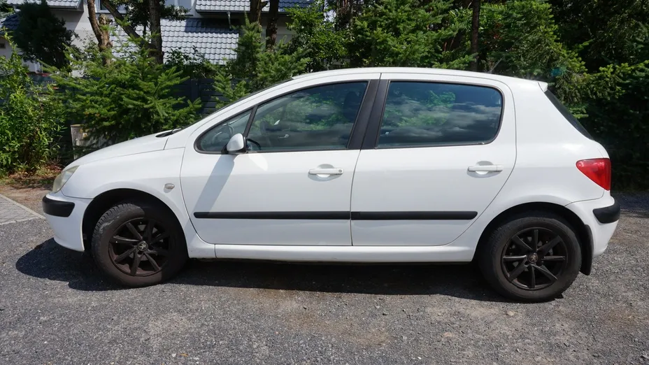 PEUGEOT 307 -