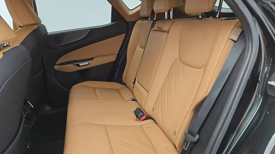 LEXUS NX -