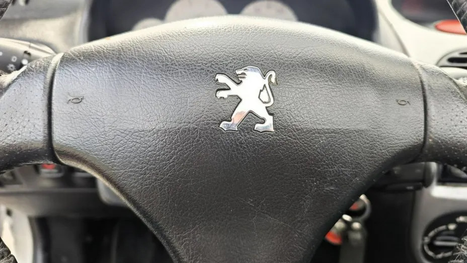 PEUGEOT 206 -