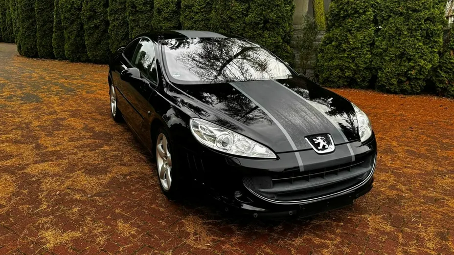PEUGEOT 407 -