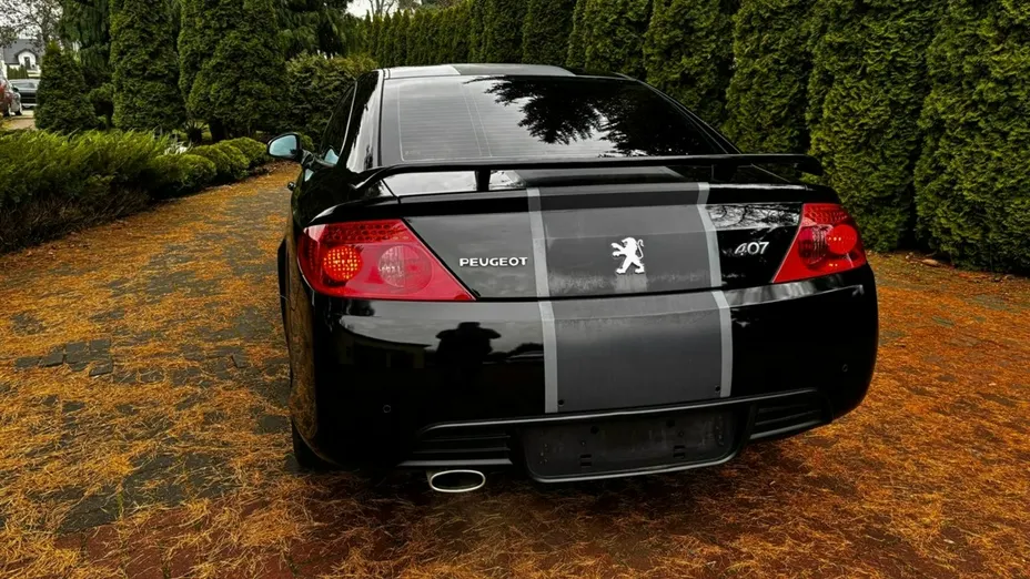 PEUGEOT 407 -