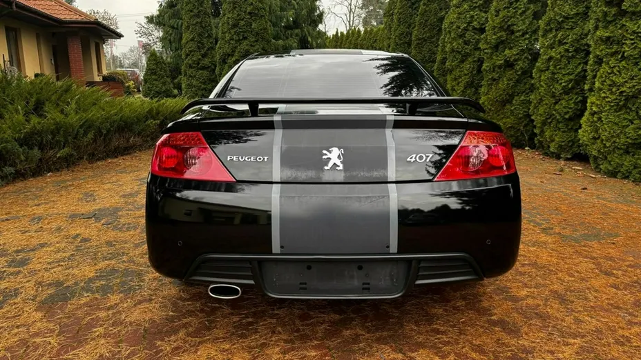 PEUGEOT 407 -