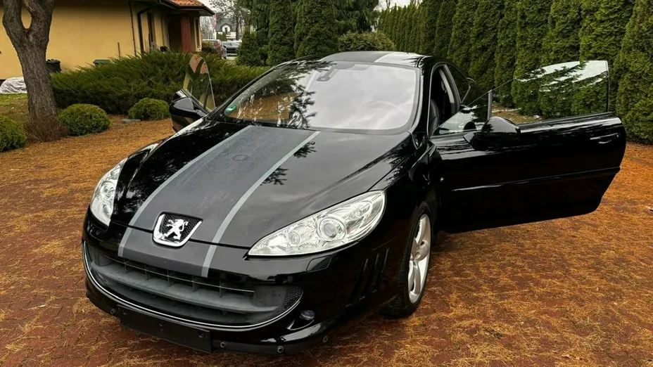 PEUGEOT 407 -