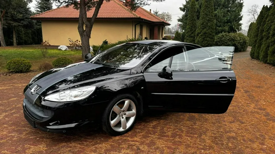 PEUGEOT 407 -