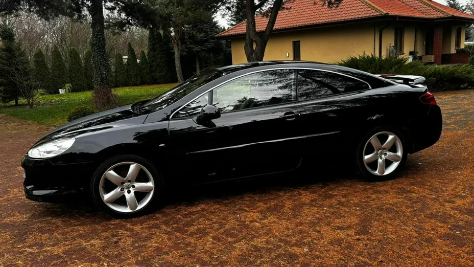 PEUGEOT 407 -