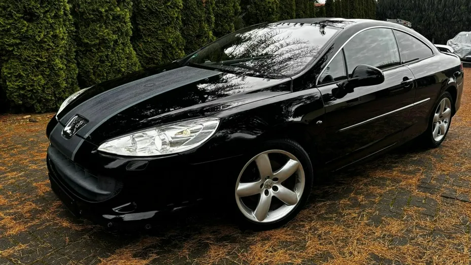PEUGEOT 407 -