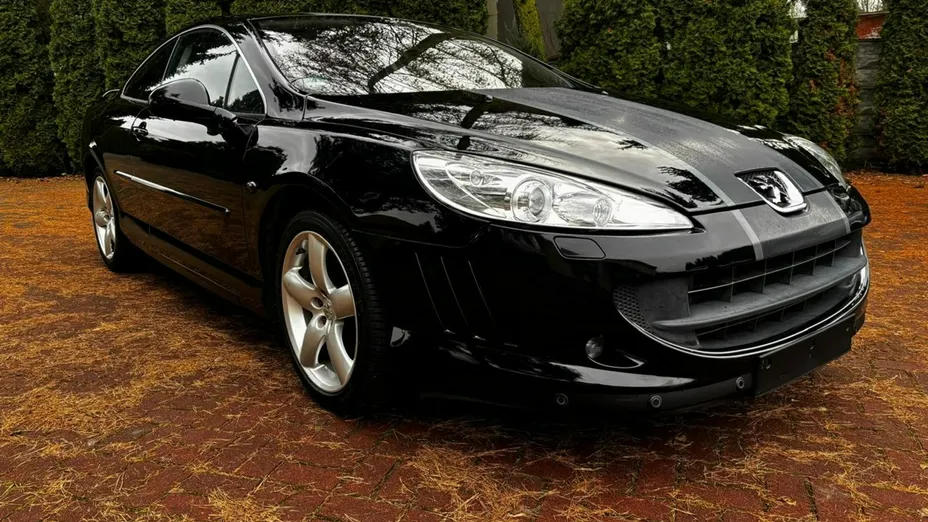 PEUGEOT 407 -