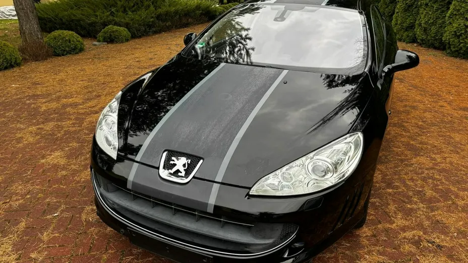 PEUGEOT 407 -