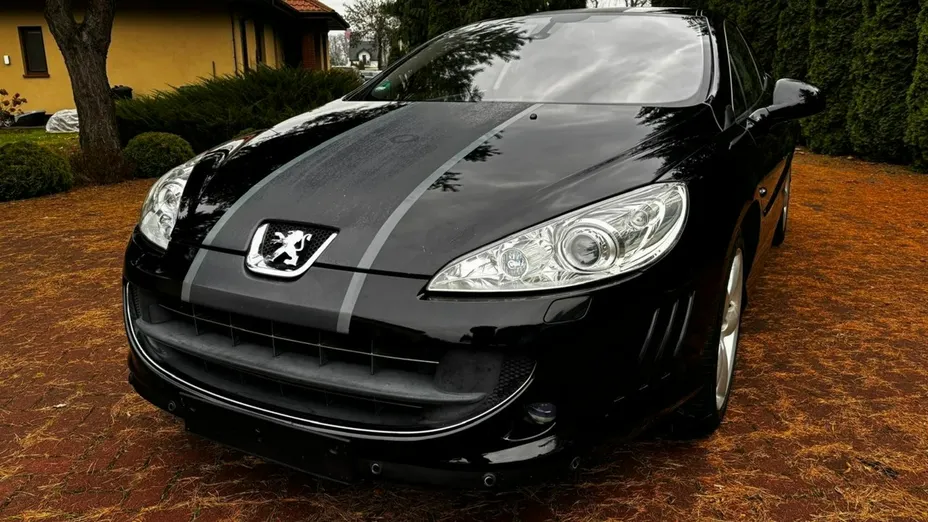 PEUGEOT 407 -