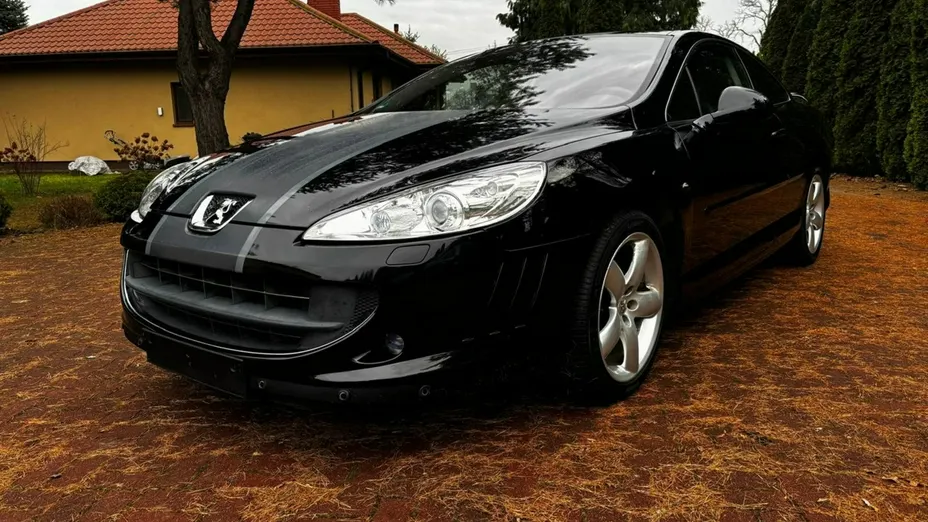 PEUGEOT 407 -