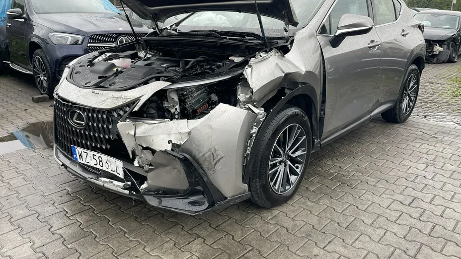 LEXUS NX -
